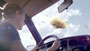 POTATO 'Car'